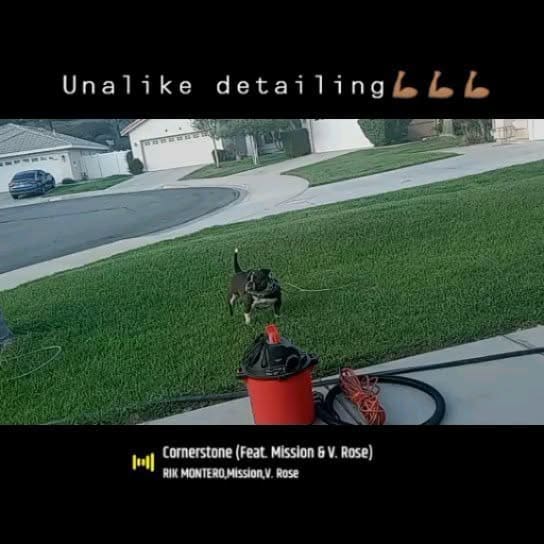 Photo by @unalike_detailing on April 16, 2022.