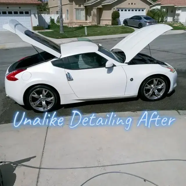 Detail by Unalike Detailing